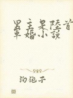 男主是陆首长的军婚小说