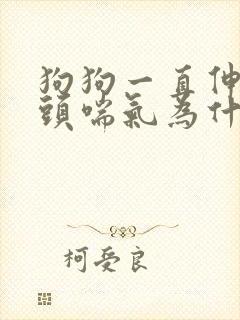 狗狗一直伸着舌头喘气为什么