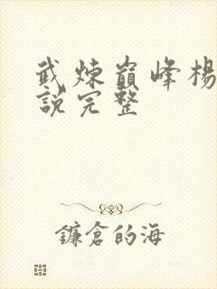 武炼巅峰杨开小说完整