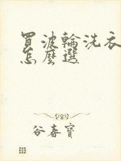 买波轮洗衣机该怎么选