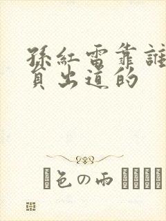 孙红雷靠谁女演员出道的