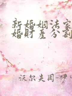 新婚姻法家暴离婚财产分割