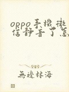 oppo手机微信静音了怎么调