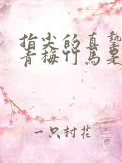 指尖的真挚热情青梅竹马是消防员