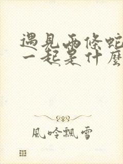 遇见两条蛇缠在一起是什么预兆