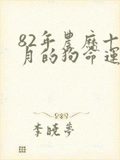 82年农历十一月的狗命运如何