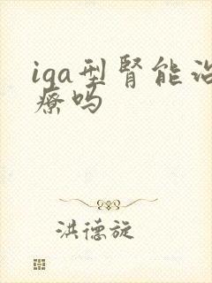 iga型肾能治疗吗