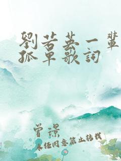 刘若英一辈子的孤单歌词