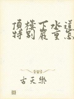 顶楼下水道反味特别严重怎么解决