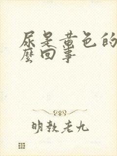 尿是黄色的是怎么回事