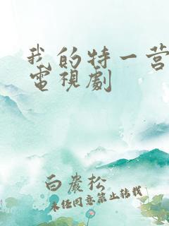 我的特一营完整电视剧