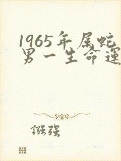 1965年属蛇男一生命运如何