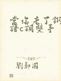 当你老了钢琴简谱c调双手