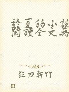 于夏的小说免费阅读全文无弹窗