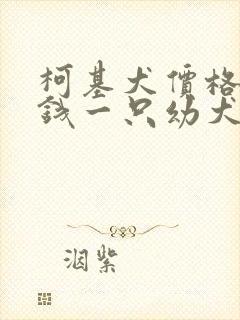 柯基犬价格多少钱一只幼犬