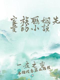 家族联姻先婚后爱的小说