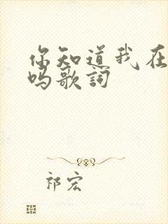 你知道我在想你吗歌词