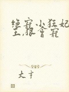 绝宠小狂妃:邪王,狠会宠