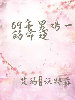 69年男鸡一生的命运