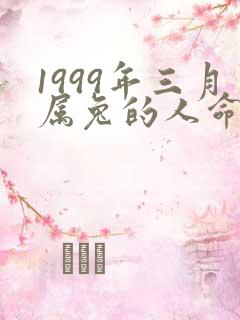 1999年三月属兔的人命运如何