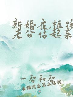 新婚夜,植物人老公站起来了完结版