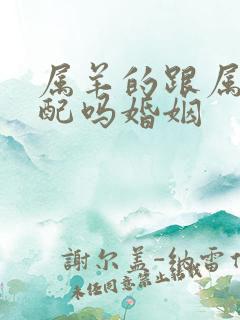 属羊的跟属猴的配吗婚姻