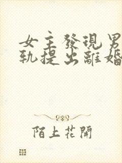 女主发现男主出轨提出离婚的小说