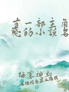 有一部主角叫林飞的小说名字