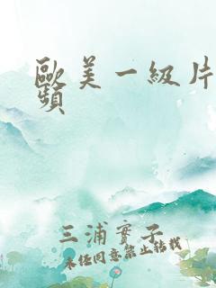 欧美一级片的视频