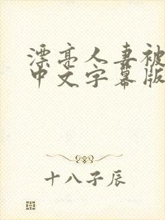 漂亮人妻被强中中文字幕版