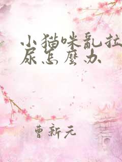 小猫咪乱拉屎拉尿怎么办