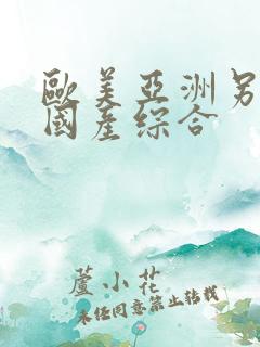 欧美亚洲另类色国产综合