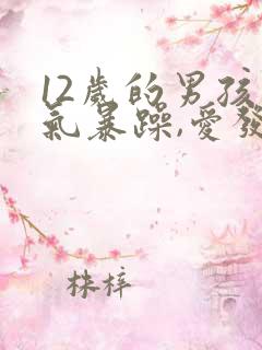 12岁的男孩脾气暴躁,爱发脾气怎么办