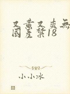 又黄又爽无遮挡国产禁18