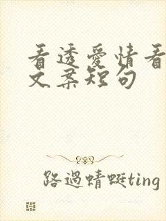 看透爱情看透你文案短句