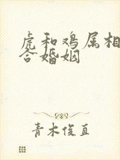 虎和鸡属相合不合婚姻