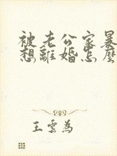 被老公家暴了我想离婚怎么办