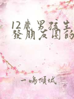 12岁男孩生日发朋友圈的文案