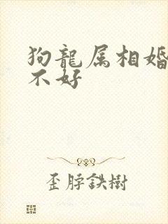 狗龙属相婚配好不好