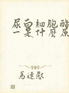 尿白细胞酯酶十一是什么原因