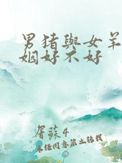 男猪与女羊配婚姻好不好