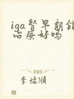 iga肾早期能治疗好吗