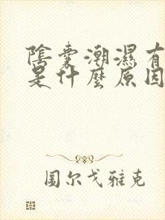 阴囊潮湿有点痒是什么原因造成的