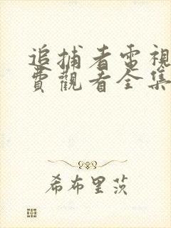 追捕者电视剧免费观看全集完整版