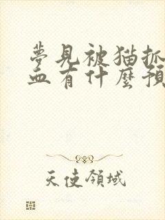 梦见被猫抓伤出血有什么预兆吗