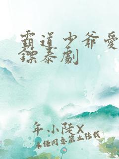 霸道少爷爱上保镖泰剧