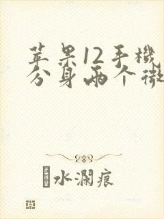 苹果12手机能分身两个微信吗