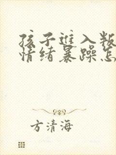 孩子进入叛逆期情绪暴躁怎么办