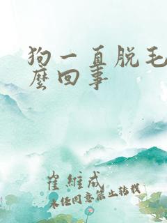 狗一直脱毛是怎么回事