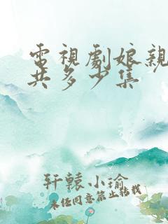 电视剧娘亲舅大共多少集